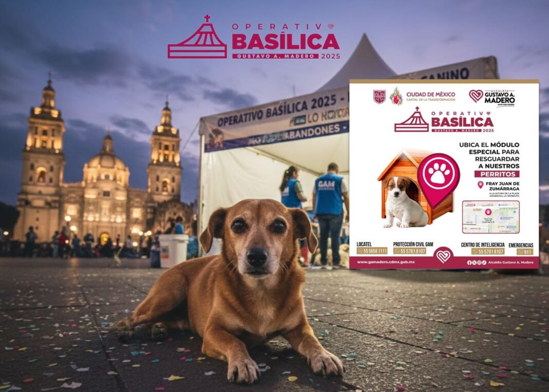 Perro en un evento al aire libre.